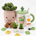 ست هدیه«لبخندِ ساکتِ کاکتوس‌ها»-40🌵